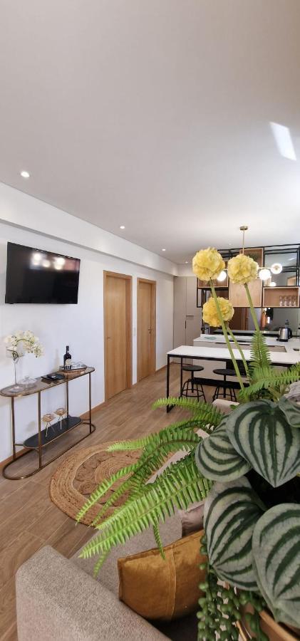 Alma Invicta Alegria Apartment ปอร์โต ภายนอก รูปภาพ
